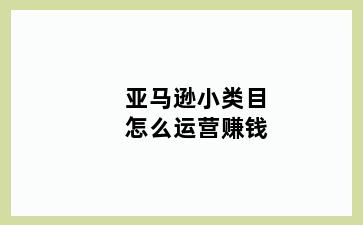 亚马逊小类目怎么运营赚钱