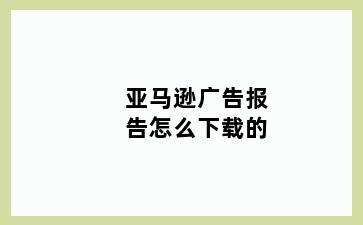 亚马逊广告报告怎么下载的