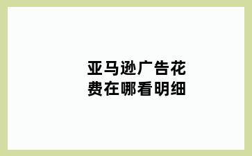 亚马逊广告花费在哪看明细