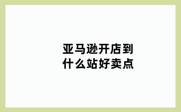 亚马逊开店到什么站好卖点