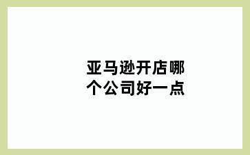 亚马逊开店哪个公司好一点