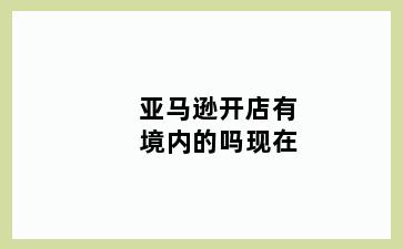 亚马逊开店有境内的吗现在