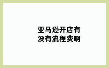 亚马逊开店有没有流程费啊