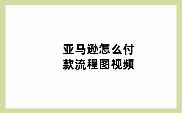 亚马逊怎么付款流程图视频