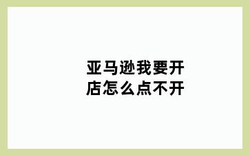 亚马逊我要开店怎么点不开