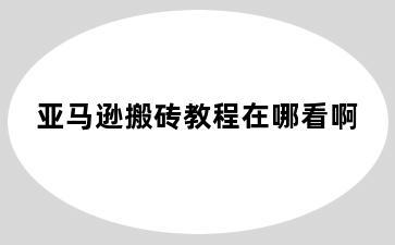 亚马逊搬砖教程在哪看啊