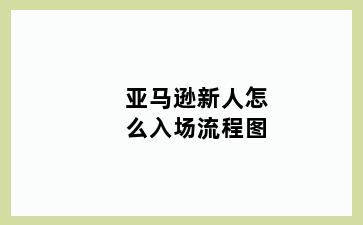 亚马逊新人怎么入场流程图