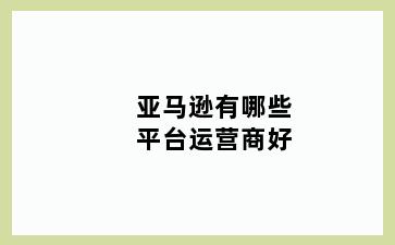 亚马逊有哪些平台运营商好