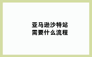 亚马逊沙特站需要什么流程