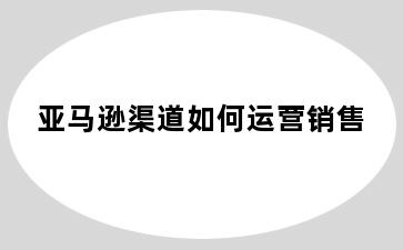 亚马逊渠道如何运营销售