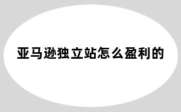 亚马逊独立站怎么盈利的