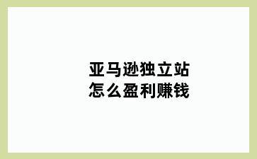 亚马逊独立站怎么盈利赚钱