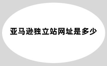 亚马逊独立站网址是多少