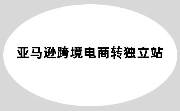 亚马逊跨境电商转独立站