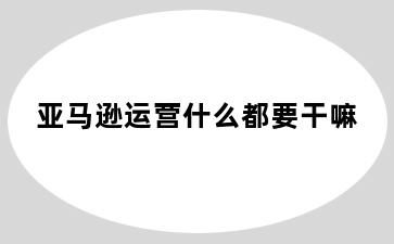 亚马逊运营什么都要干嘛