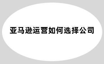 亚马逊运营如何选择公司