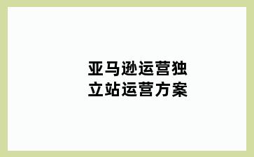 亚马逊运营独立站运营方案