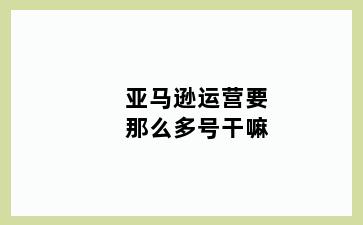 亚马逊运营要那么多号干嘛