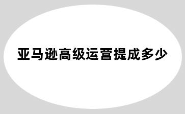 亚马逊高级运营提成多少