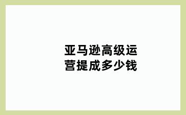 亚马逊高级运营提成多少钱