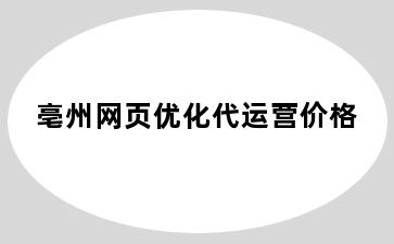 亳州网页优化代运营价格