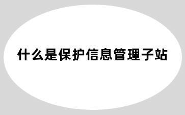 什么是保护信息管理子站