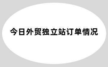 今日外贸独立站订单情况