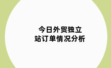 今日外贸独立站订单情况分析