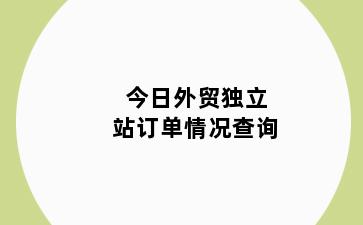 今日外贸独立站订单情况查询