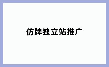 仿牌独立站推广