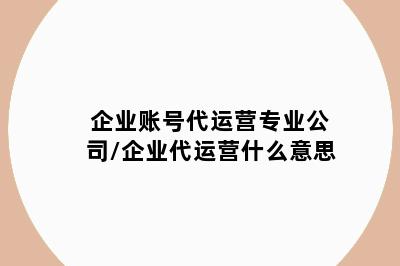 企业账号代运营专业公司/企业代运营什么意思