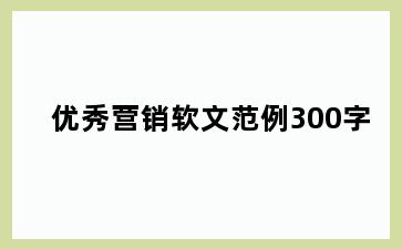 优秀营销软文范例300字