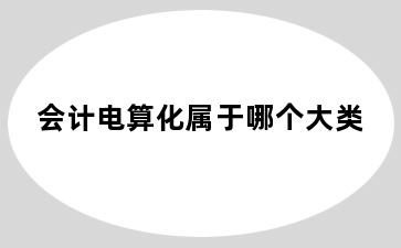 会计电算化属于哪个大类