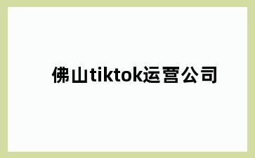 佛山tiktok运营公司