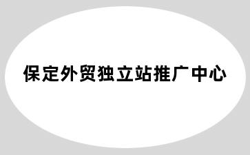 保定外贸独立站推广中心