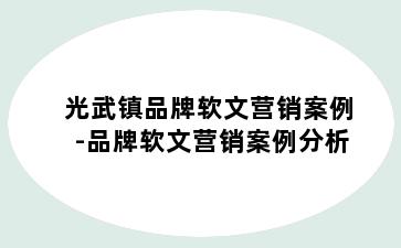 光武镇品牌软文营销案例-品牌软文营销案例分析