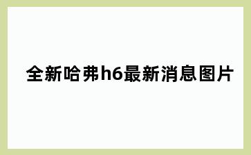 全新哈弗h6最新消息图片