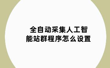 全自动采集人工智能站群程序怎么设置