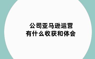 公司亚马逊运营有什么收获和体会