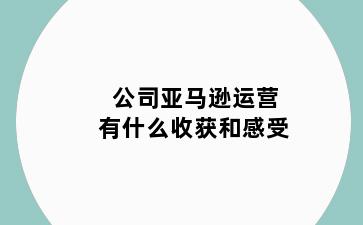 公司亚马逊运营有什么收获和感受