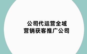 公司代运营全域营销获客推广公司