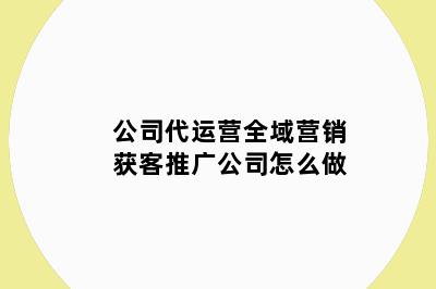 公司代运营全域营销获客推广公司怎么做