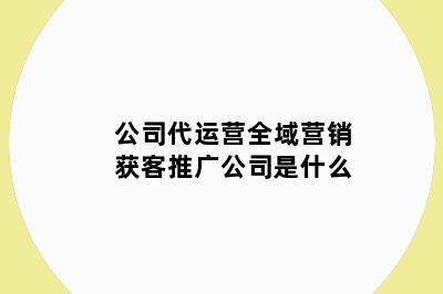 公司代运营全域营销获客推广公司是什么