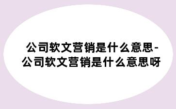 公司软文营销是什么意思-公司软文营销是什么意思呀