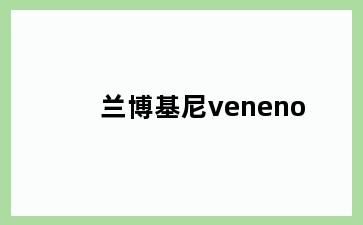 兰博基尼veneno