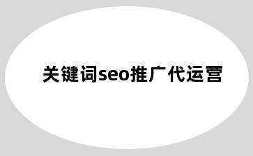 关键词seo推广代运营