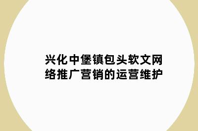 兴化中堡镇包头软文网络推广营销的运营维护