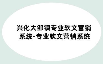 兴化大邹镇专业软文营销系统-专业软文营销系统