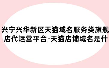 兴宁兴华新区天猫域名服务类旗舰店代运营平台-天猫店铺域名是什么