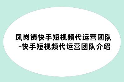 凤岗镇快手短视频代运营团队-快手短视频代运营团队介绍